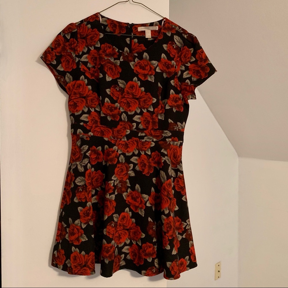 Roses A-Line F21 Dress